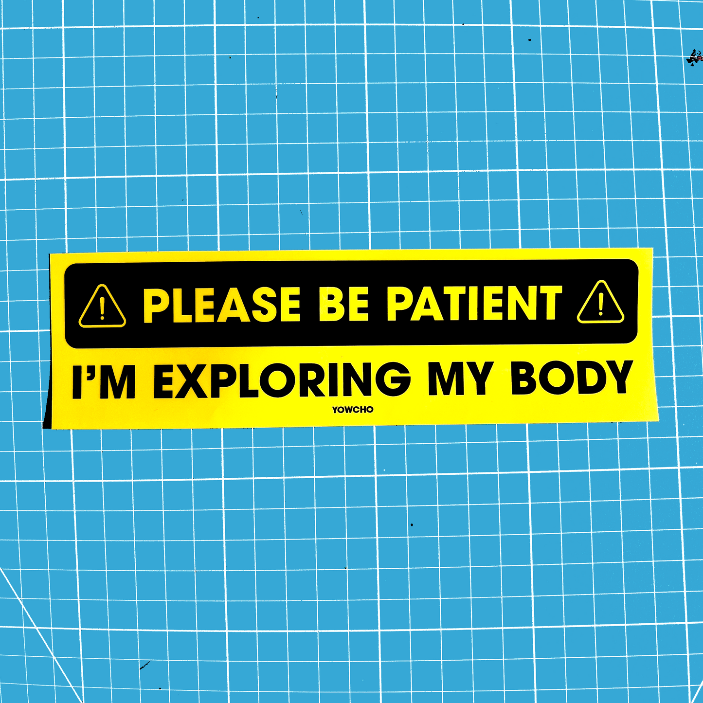 PLEASE BE PATIENT BUMPER STICKER